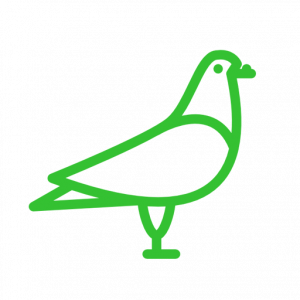 pigeon icon